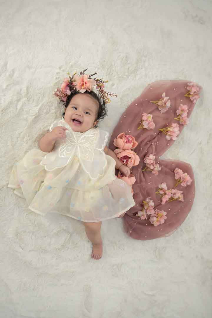 Butterfly Wings Net pearl fabric