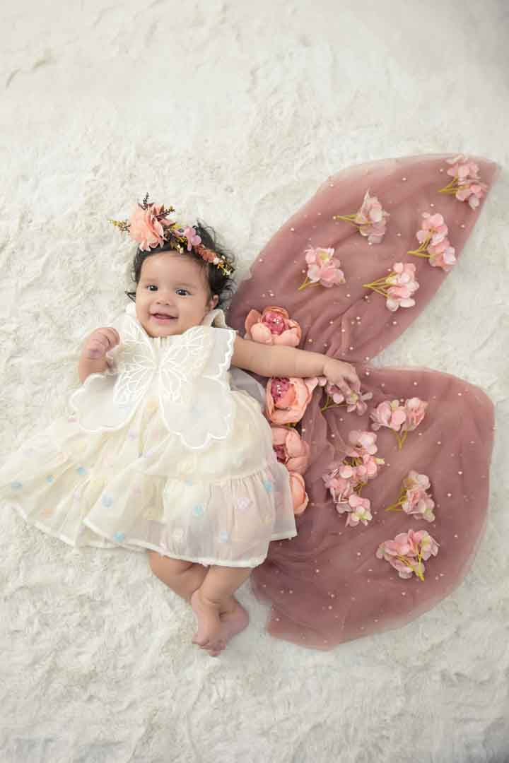 Butterfly Wings Net pearl fabric